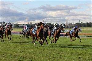Silsktone Special in full flight at Sandown Silsktone Special in full flight at Sandown